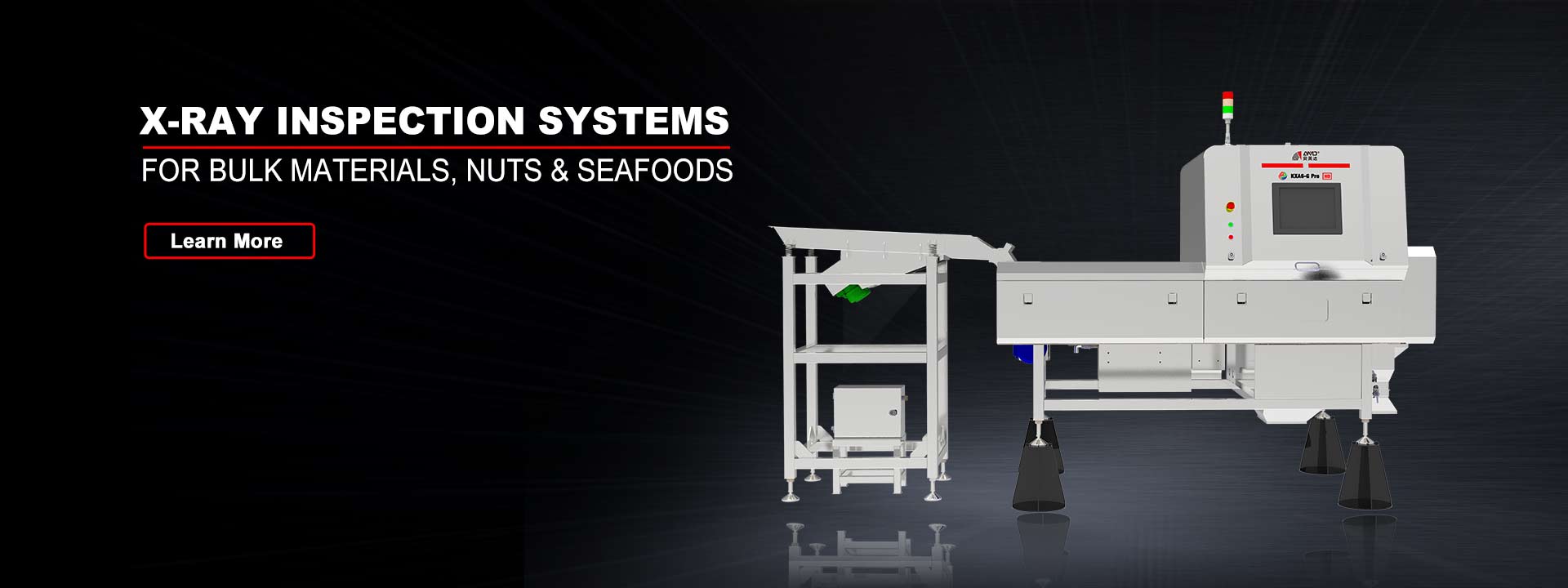 X-Ray nuts color sorter